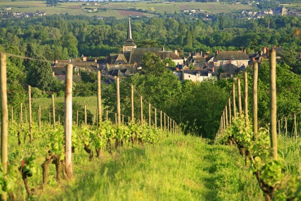 Vue depuis les coteaux de Savennières sur le clocher de l'église