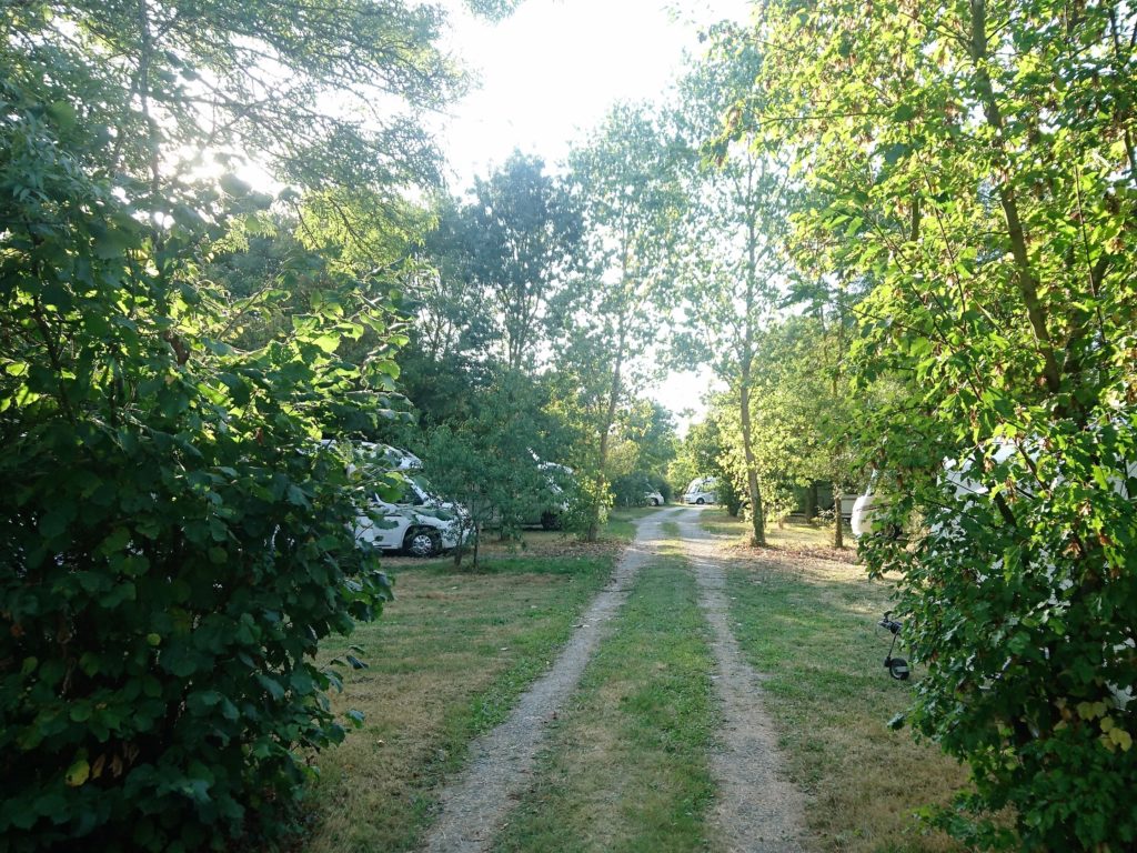 aperçu entre les branches camping la bradière