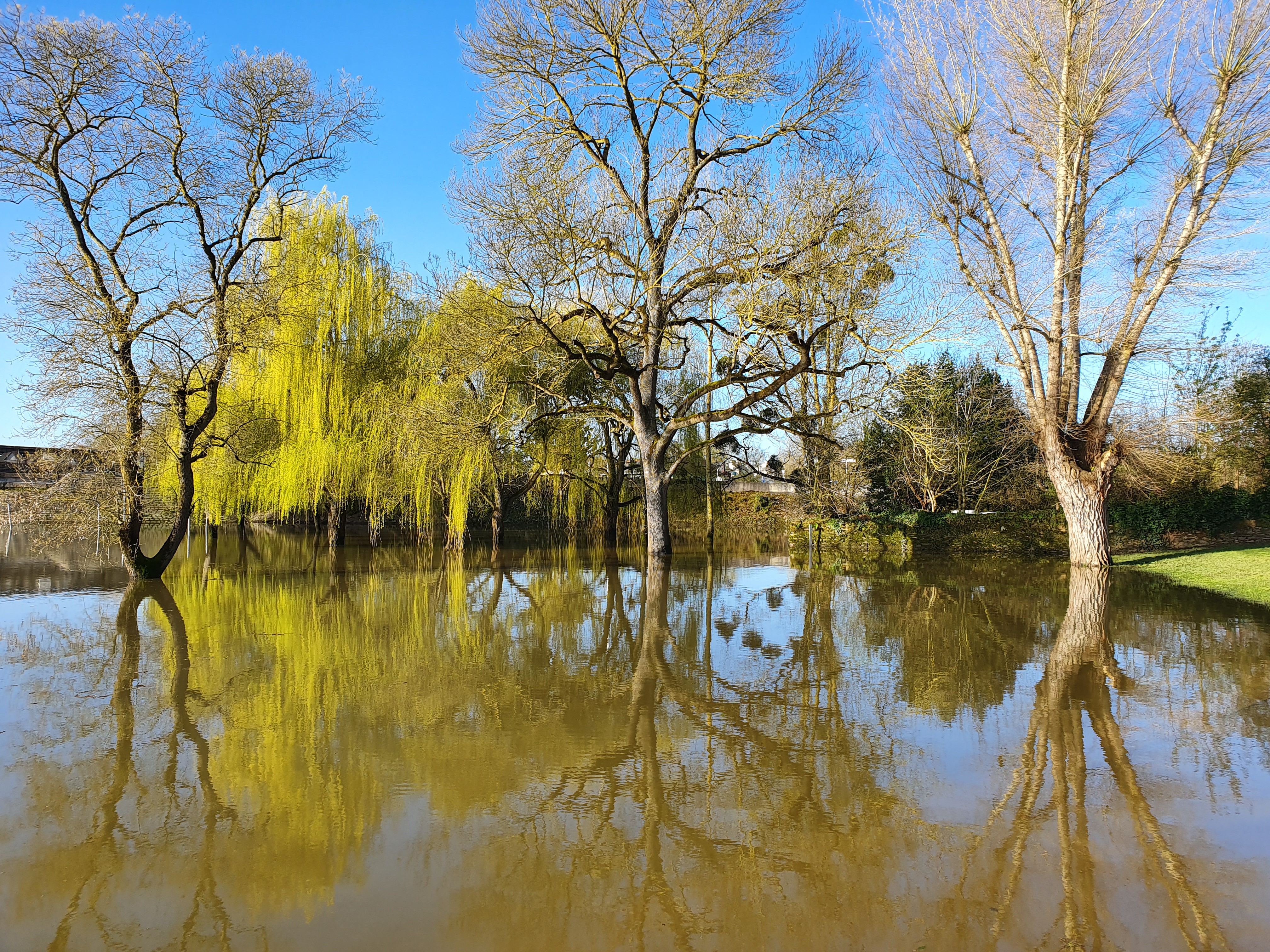 inondation à bouchemaine , loire à vélo camping la Bradière
