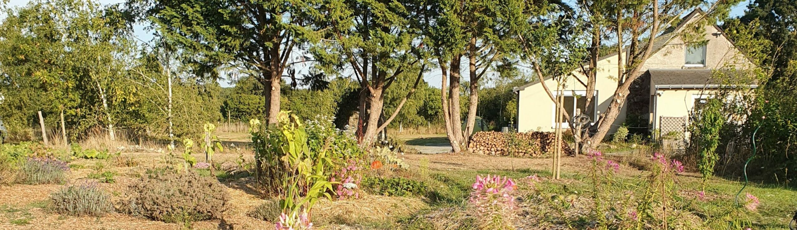 vue du jardin mandala permacole
