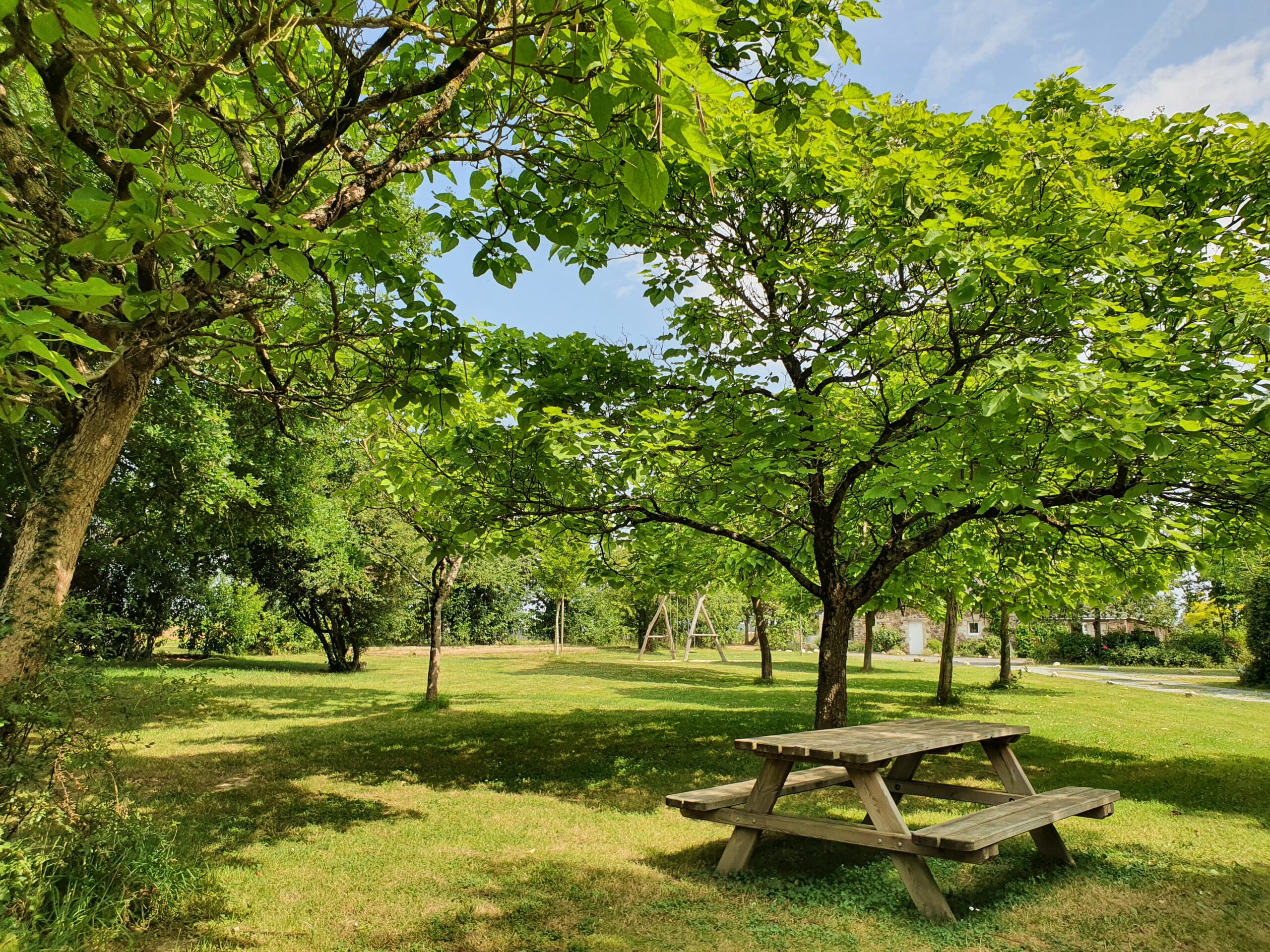 Emplacement sous les arbres tente