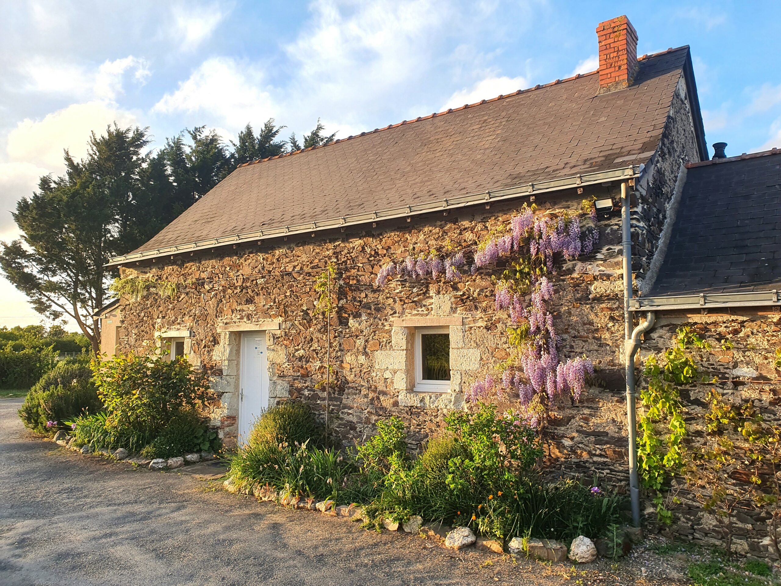 bâtisse et sa glycine