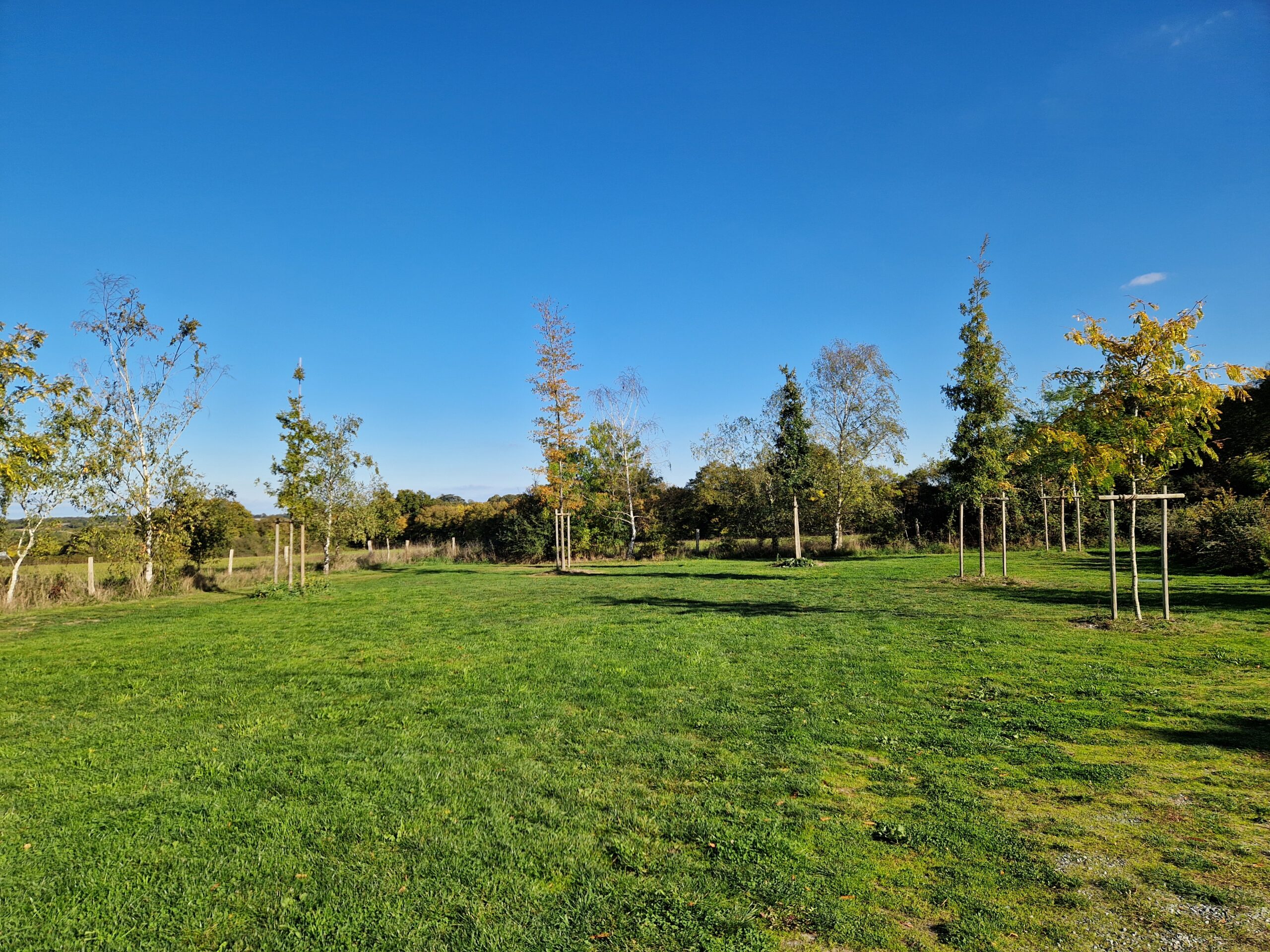 prairie-privatisee-location-salle-bradiere-anjou.jpg