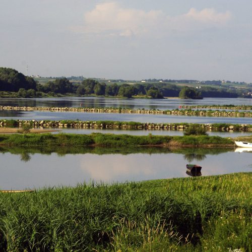 épis de Loire à la Pointe- loire à vélo